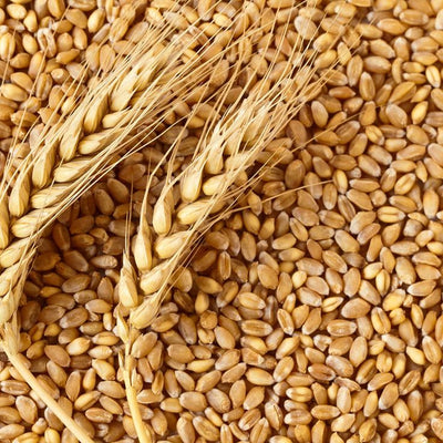 Wheatgram + grapeseed for soothing and repair