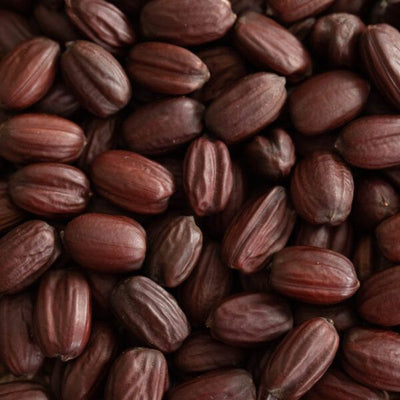 Jojoba oil - sebum-mimicking penetration agent